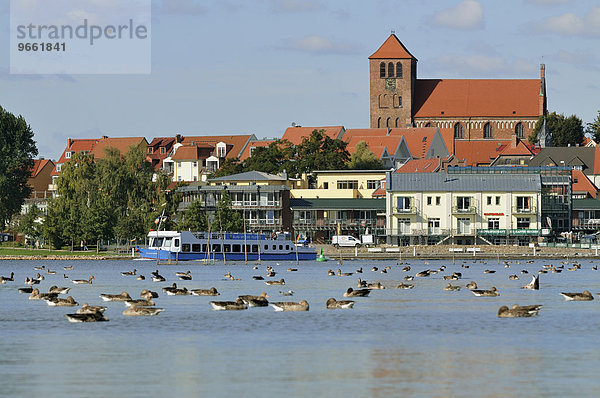 Stadthafen  Waren an der Müritz  Mecklenburg-Vorpommern  Deutschland  Europa