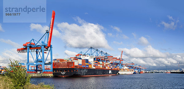 Containerterminal Altenwerder im Hamburger Hafen  Süderelbe  Hamburg  Deutschland  Europa