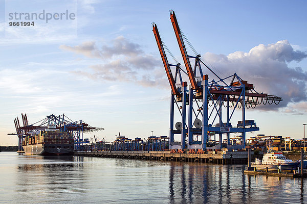 Containerterminal Burchardkai im Waltershofer Hafen  Hamburger Hafen  Hamburg  Deutschland  Europa