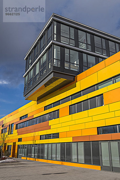 Gelbe Fassade  moderne Architektur  Schwanthalerhöhe  München  Oberbayern  Bayern  Deutschland  Europa