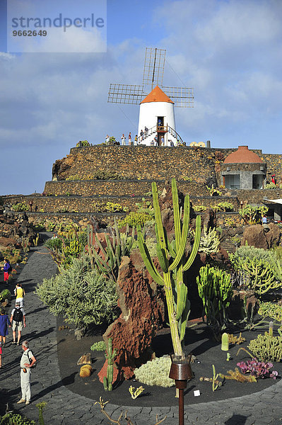 Windmühle beim Jardin de Cactus von César Manrique  Guatiza  Lanzarote  Kanarische Inseln  Spanien  Europa