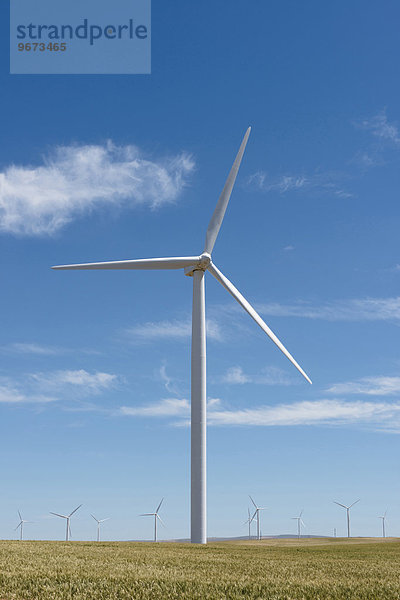 Windturbine Windrad Windräder grün Feld