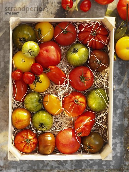Bunte Tomaten in einer Steige