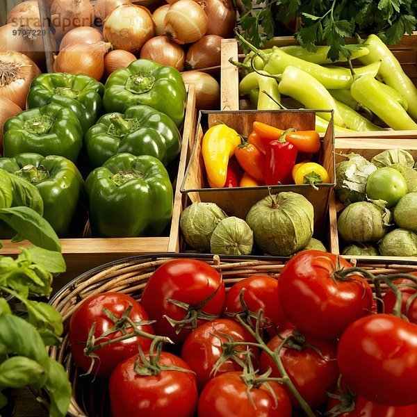 Bio-Tomaten  Tomatillos  Paprikaschoten  Peperoni  Zwiebeln und Basilikum in Behältern auf dem Bauernmarkt