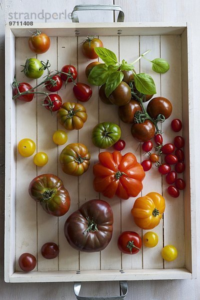 Verschiedene Tomaten auf Tablett