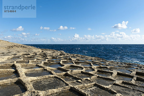 Sandstein an der Küste  Meersalzgewinnung in Salzpfannen  Xlendi  Gozo  Malta  Europa
