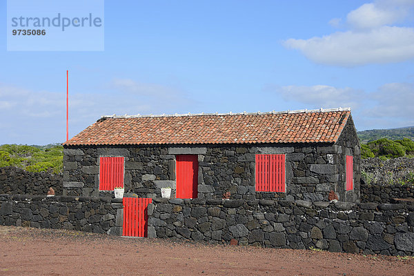 Typisches Haus aus Vulkangestein  Weinbaugebiet Verdelho  Pico  Azoren  Portugal  Europa