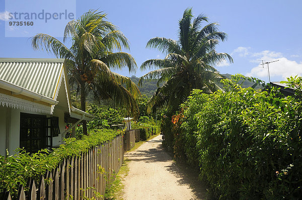 Typische Gasse in der Ortschaft La Passe  Insel La Digue  La Digue and Inner Islands  Seychellen  Afrika