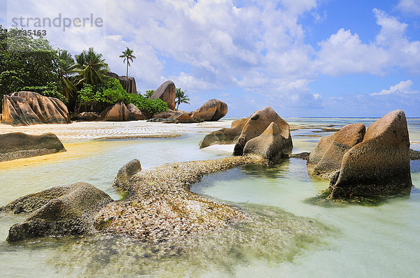 Granitfelsen und Palmen am Strand Anse la Réunion  Insel La Digue  La Digue and Inner Islands  Seychellen  Afrika