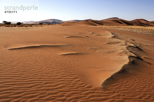 Sanddünen  Sossusvlei  Namib-Wüste  Namib Naukluft Park  Namibia  Afrika