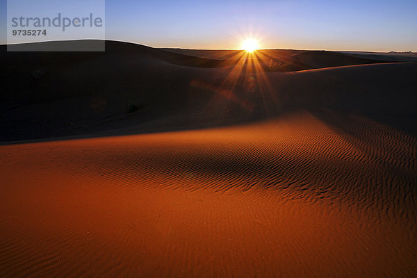 Südliche Ausläufer der Namib-Wüste  Sanddünen  Sonnenuntergang  Gegenlicht  Abendlicht  Namibia  Afrika