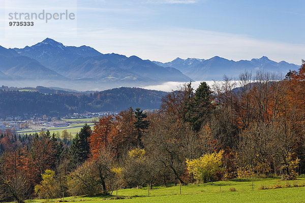 Ausblick vom Hochberg bei Traunstein in die Chiemgauer Alpen  Chiemgau  Oberbayern  Bayern  Deutschland  Europa