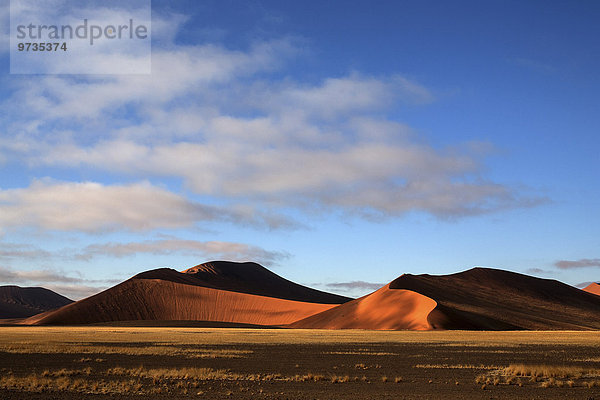 Sanddünen im Sossusvlei  Abendlicht  Namib-Wüste  Namib Naukluft Park  Namibia  Afrika