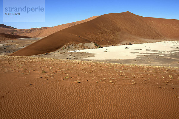 Sanddünen  Hidden Vlei  Namib-Wüste  Namib Naukluft Park  Namibia  Afrika