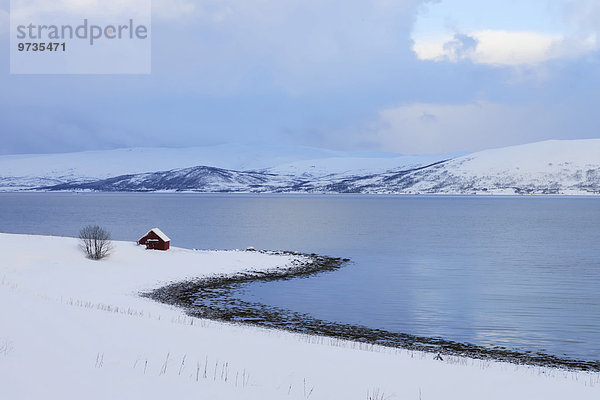 Einsames Haus am Grotsund  Tromsö  Troms  Norwegen  Europa
