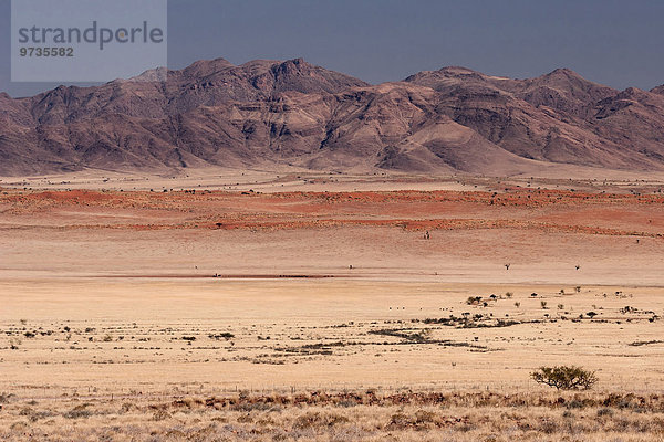 Ausblick von der Pad D707 auf Grassteppe  Sanddünen und Berge des Namib-Naukluft Parks  Namibia  Afrika