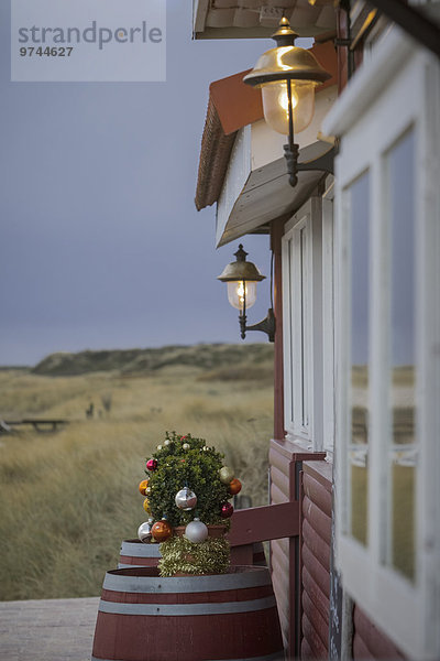 Holzhaus  Hörnum  Sylt  Schleswig-Holstein  Deutschland  Europa