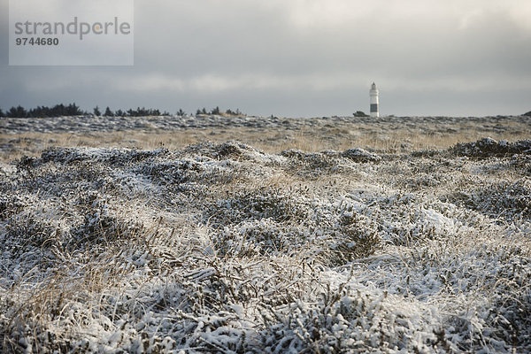 Leuchtturm  Kampen  Sylt  Schleswig-Holstein  Deutschland  Europa