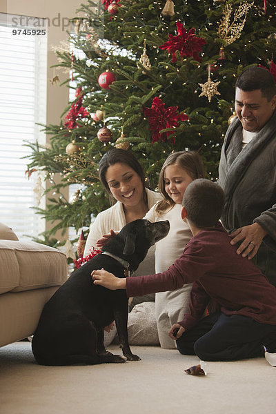 Zimmer Morgen Hund Weihnachten streicheln Wohnzimmer