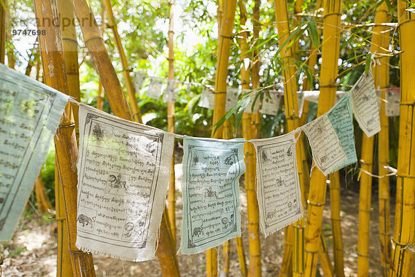 hängen Fahne Bambus Sellerie Gebet