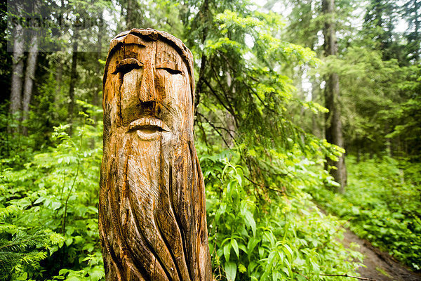 nahe Weg Stange Wald Close-up Totempfahl schnitzen