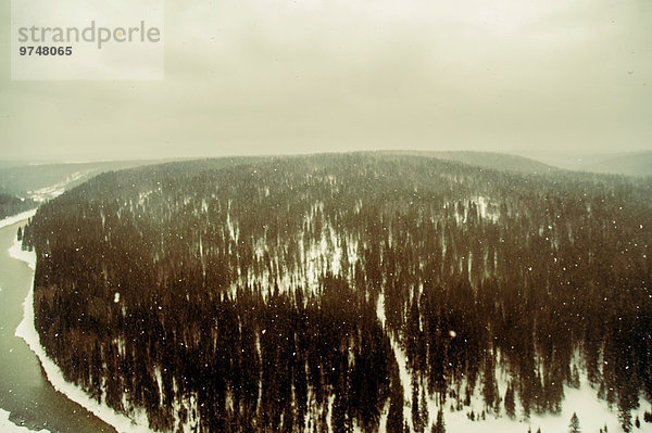 Schnee Wald Ansicht Luftbild Fernsehantenne