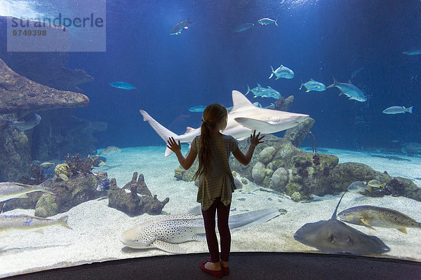 Fisch Pisces Europäer Bewunderung Mädchen