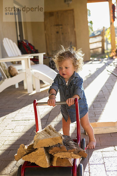 Feuerholz Europäer schieben Spielzeug Fuhrwerk Baby