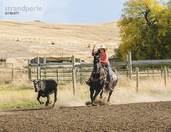 Europäer Frau nachlaufen Rind Rodeo