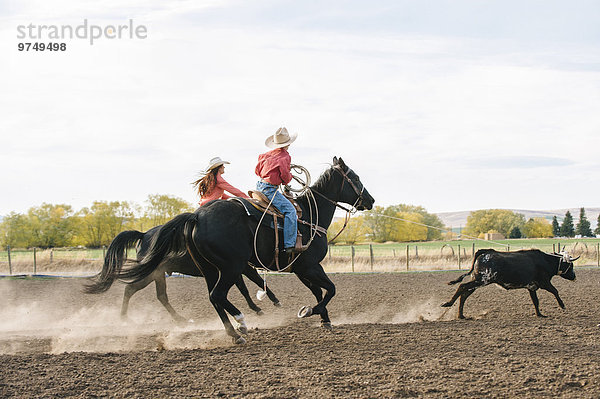 Europäer nachlaufen Rind Rodeo