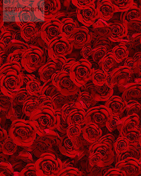 Formatfüllendes Arrangement roter Rosen