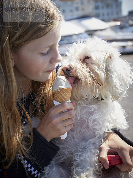 Eiscreme Eis Zusammenhalt Hund essen essend isst Mädchen