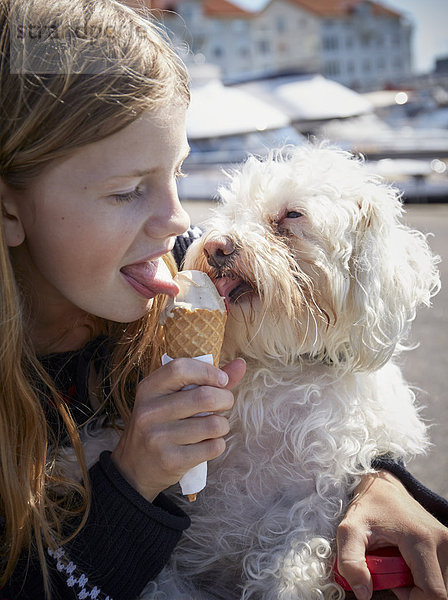 Eiscreme Eis Zusammenhalt Hund essen essend isst Mädchen