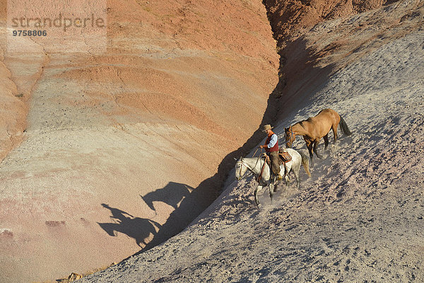 USA  Wyoming  Reiten Cowboy mit zwei Pferden in Badlands