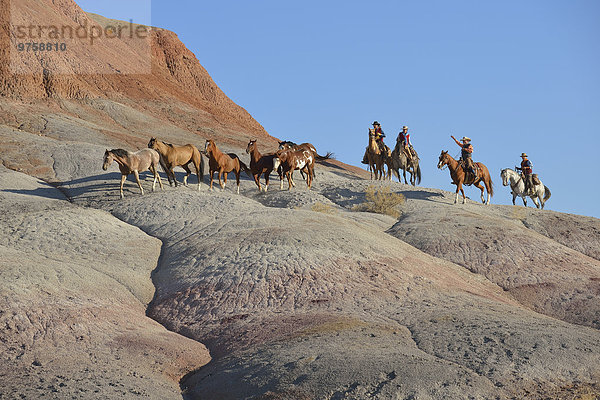 USA  Wyoming  Cowboys und Cowgirls hüten Pferde in Badlands