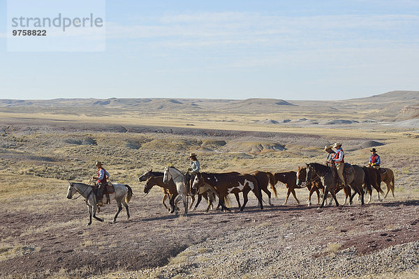 USA  Wyoming  Cowboys und Cowgirls führen Pferde in die Badlands