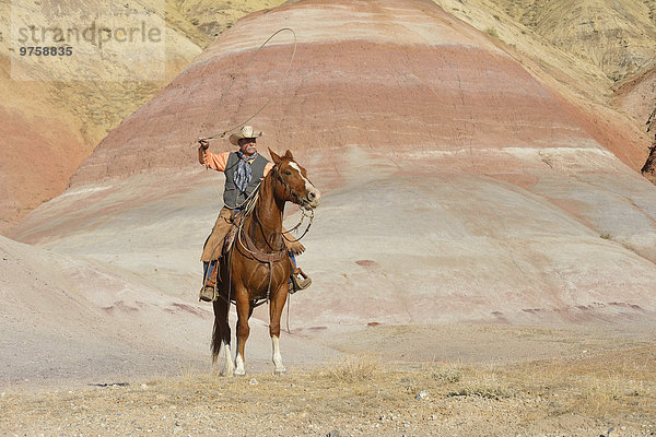 USA  Wyoming  Big Horn Mountains  Cowboy auf dem Pferd schwingendes Lasso