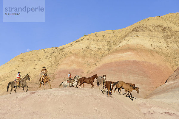 USA  Wyoming  Cowboys und Cowgirl hüten Pferde in Badlands
