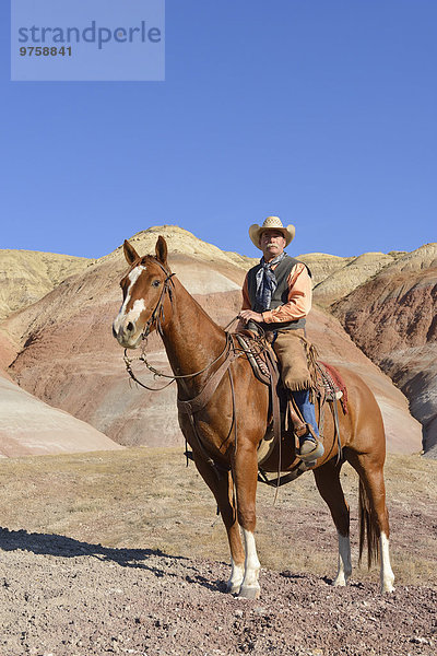 USA  Wyoming  Big Horn Mountains  Cowboy auf seinem Pferd