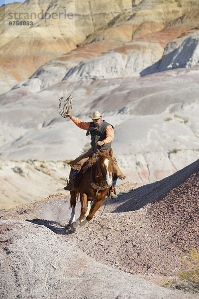 USA  Wyoming  Big Horn Mountains  Reiten Cowboy Swinging Lasso