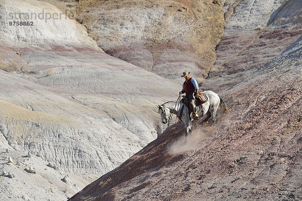 USA  Wyoming  Cowboy auf dem Weg nach unten im Ödland