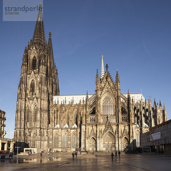 Deutschland  Köln  Kölner Dom im Sonnenlicht