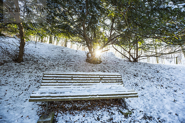 Deutschland  Bayern  Landshut  Hofgarten im Winter
