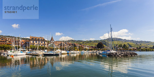 Schweiz  Lutry  Genfersee  Yachthafen