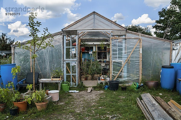 Gewächshaus mit Tomatenpflanzen