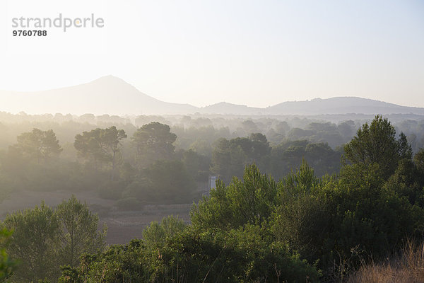 Spanien  Mallorca  Landschaft mit Nebel