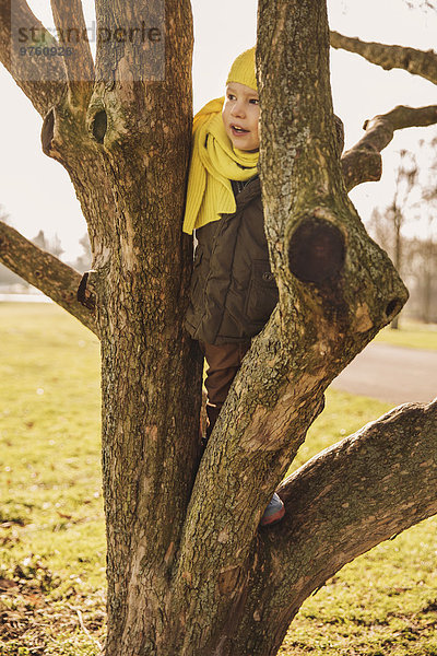 Kleiner Junge klettert im Winter auf einen Baum