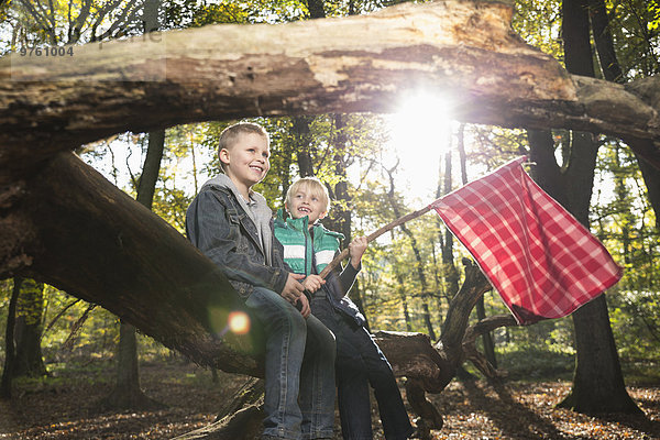 Deutschland  zwei Freunde auf einem Baumstamm im Wald sitzend