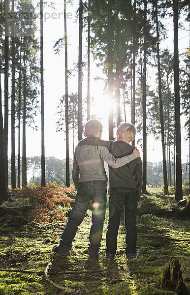 Deutschland  zwei Freunde stehen Arm in Arm im Wald