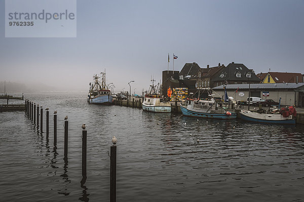 Deutschland  Schleswig-Holstein  Eckernförde  Fischerboote im Hafen  dunkles Wetter